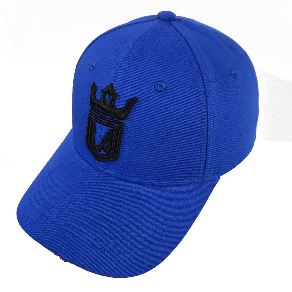 LEGACY CURVED CAP | BLUE